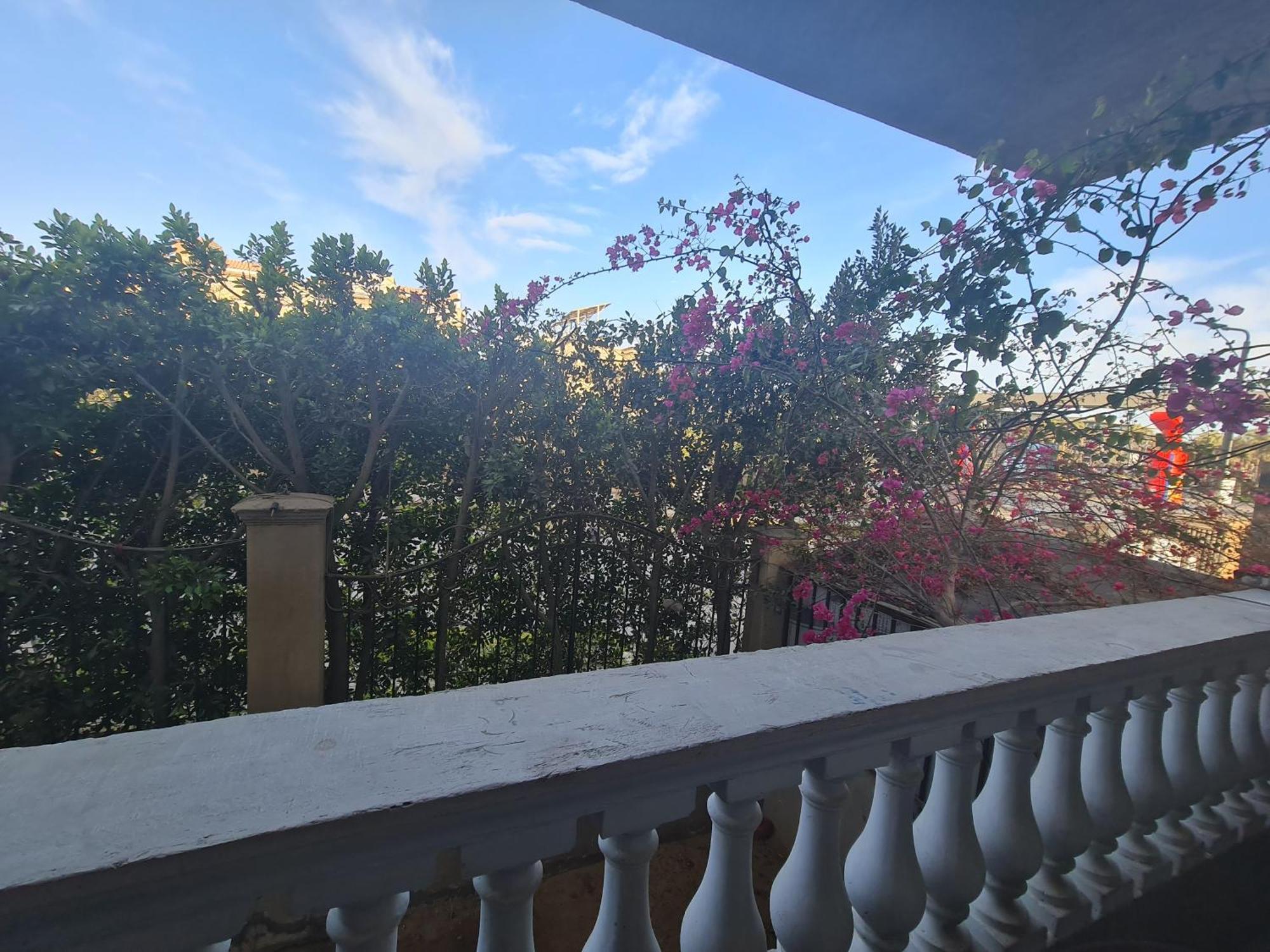 Premium In New Apartment Cairo